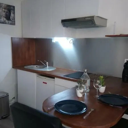 Studio Avec Terrasse Et Garage Bordeaux